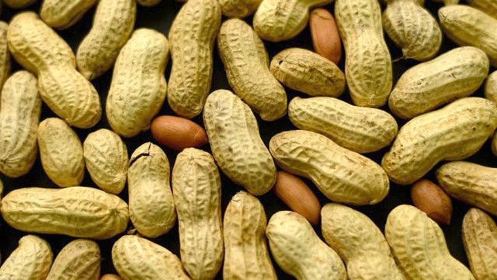  Vente D'arachide - fruits et légumes vente d'arachide, proposition d'un contrat pour la fourniture de 35000 tonnes d'arachide.disponible,  disponible.