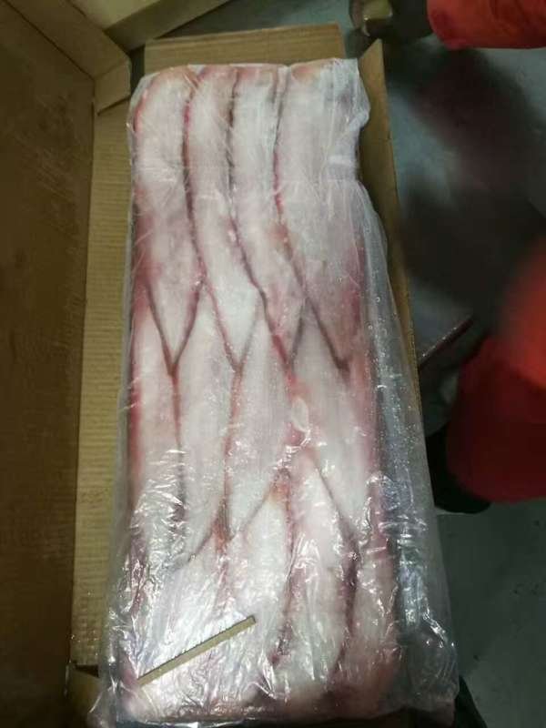  Poissons Du Sénégal - poissons bonsoir --nous sommes a la recherche de potentiel acheteur de poissons frais et congel&eacute;s --sommes disposer a. vous fournir la meilleur qualit&eacute; possible et vous faire tr&egrave;s comp&eacute;titif a l aide de nos meilleurs prix --merci de nous contacter --on a thiof merou jaune rouget s