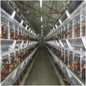  Vends Batterie 10 Mille Pondeuses - matériels machines a vendre - batterie de 10.000 poules de pontes,  actuellemebt en fonctionnement a dakar.--marque italienne facco,  tapis d'evacuation des fuentes,  alimentation automatisees en eau et nourriture. 3 ans d'age. 18.000.000 cfa--possibilite de louer le champs