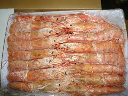 œufs de mulet ET crevettes Congelés  - poissons bonjour--nous collectons les œufs de mulet différent calibre pour exportation ,  nous pouvons mettre a votre disposition un produit top avec une régularité dans les expéditions ce qui nous a toujours assuré la première place des exportateurs de poissons