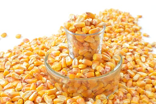  Vente De Mais Jaune - fruits secs et graines grillées offre exceptionnel- fourniture de 1.000 tonnes de maïs jaune sur contrat dûment établi,  cadence régulière de nos camions de livraison,  paiement cash,  135f/kg légerement négociable pour les bons clients. plaisantins,  distancia !!