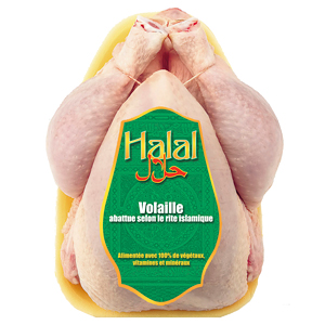  Poulet Et Dinde Hallal - viandes et oeufs nous sommes une soci&eacute;t&eacute; marocaine,  nous avons la possiblit&eacute; de vous envoy&eacute; des poulets et dinde 100% hallal,  avec condition et  normes international.