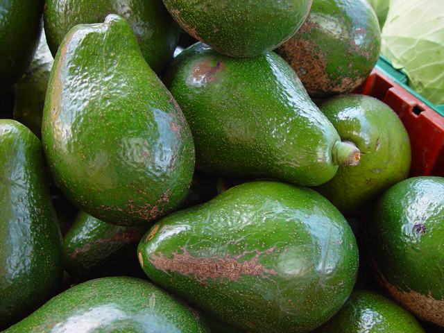  Vends Avocat Fruits - fruits et légumes nous sommes producteurs de fruits d'avocats et nous avons des tonnages importants de fruits que nous pouvons vous livrer sur commandes.--n'hesitez pas à nous contacter par email pour toutes vos commandes et autres renseignements