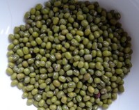  D'importante Quantite De Soja Vert Et Blanc - semence graine plant nous mettons en vente d'importantes quantit&eacute;s de soja vert et soja blanc de bonne qualit&eacute;.--prix - selon la saison--condition - paiement cash apr&egrave;s pes&eacute;e ou sblc 760 mt pour le prix fob