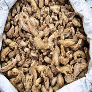  Vente De Gingembre Séché - épices aromates j'ai 70 tonnes de gingembre séché disponible à lomé veuillez me contacter le plus vite pssible--915f/kg