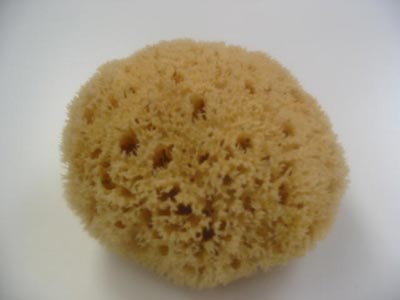  Chercher Clients Pour Le Acheter De Epange Nature - autres je suis un producteur de epange naturel de zarzis je chercher de clients potentiels j'ai possédé une grande contite. 