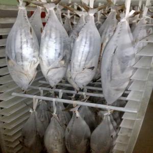 Poisson Thon En Grande Quantité - poissons salut, --    nous recherchons des acheteurs du poisson thon a travers le monde. nous pouvons vous fournir toutes les quantités.----pays d'origine- senegal--livraison- dans le monde entier--mode de paiement et livraison- a combiner--condition de vente- loi - fco - ipco - facture proforma - ouve