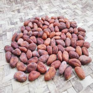  Vente De Feves De Cacao Bio De Madagascar - café cacao thé bonjour, --basée à madagascar,  nous sommes une société exportatrice de fèves de cacao bio de madagascar. nous voudrions entrer en contact avec des sociétés (entreprises de négoces,  fabricant de chocolat ) qui seraient intéressées &