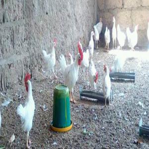  Bon Partenaires - conseil et formation au fait je veux avoir un bon partennaire qu on peut bien travailler ensembles --et aussi la confiance epui bah voila ce tout ce que je cherche mais je suis bas&eacute; en afrique de l ouest pr&eacute;cis&eacute;ment en cote d ivoire --