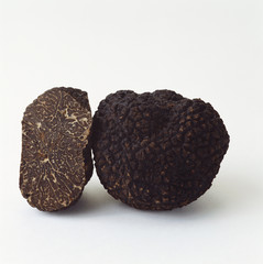  Recherche Importateur Pour Produits Alimentaires - champignon levure nous recherchons des importateurs belges et luxembourgeois qui souhaitent proposer et vendre de la truffe noire fraîche en saison de novembre à mars.--de plus,  nous pouvons également proposer de la conserve hors saison de truffe.--notre production est 100% française et les