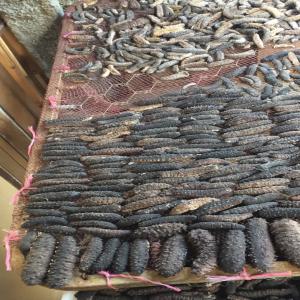  Cherche Client Pour Concombre De Mer - poissons source...madagascar. si cela vous interèsse vous pouvez me contacter