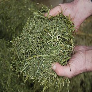  Luzerne Déshydratée Basse Température - aliments pour animaux récoltée localement,   produit et commercialise de la luzerne de bonne qualité,  et,  garantit un approvisionnement tout au long de l’année. coupée verte et humide avec un maximum de feuilles,  elle est ensuite séchée en vrac à basse tempéra
