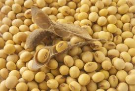  Soja Gmo Direct Du Producteur - céréales we are closely related to the cotrimaio co-operative the brazilian state of rio grande do sul – the southern most state of brazil.--particularly we act as the international sales office for nearly 12, 500 producers and the factories of cotrimaio.--we are experts in  sales,  procurement,  finance,  marke