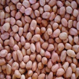  Sésame,soja,arachides Importante Quantité - céréales d'importante quantité de céréale (soja, sésame arachides)disponible (100000 tonnes) a exporté selon la destination du client avec un service logistique rapide et fiable.--