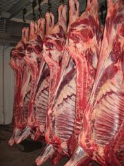  Viande Boeuf, U/r/o/280+/ Pologne (ue) Hallal - viandes et oeufs direct abattoir en pologne,  proposons viande (u/r/o,  280+),  hallal ou pas,  fraîche ou congelée (vache,  genisse et taureau) par carcasse (toute découpe possible mais il faut acheter par quart avant/arrière)--races- holstein,  limousine mais aussi,  charolaise,  et angus.--carc
