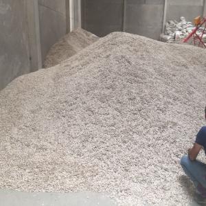  Graines De Tournesol - fruits secs et graines grillées bonjour, nous somme un société des produits agroalimentaire turquie, je suis à la recherche des clients au maroc ou bien d'autre pays pour des produits agroalimentaire venants de la turquie .je peux vous fournir de graines de tournesol couleur blanche  au bien dautre defferents  p