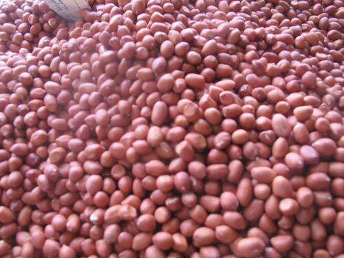  Vente D'arachide - fruits secs et graines grillées arachide petit grain déjà décortiqué disponible à lomé -togo au au prix de 1euro 50. disponible dans l’immédiat veuillez me contacter