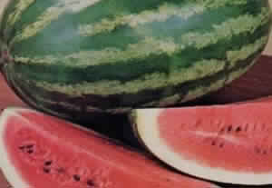  Pastèque Fruits De Saison Produits Tunisiens - fruits et légumes la société agricole  l'arboriculture  vous propose des fruits frais et de saisons.  pour la période de juillet 2017 à août 2017 nous avons une grande quantité de pastèque produite sur nos terres familiales avec le plus gros soin à ouzra mornag e