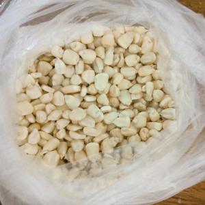  Cherche Acheteur De Mais Blanc Et Jaune - fruits secs et graines grillées vente de mais blanc et jaune  pret &agrave; l'export &agrave; vendre. 10000 tonnes,  prix fob,   ou d&eacute;p&ocirc;t magasin conditionnement en sac de 100 kg,  produit bien propre   --- 255 fcfa au kilo fob---160  fcfa au kilo d&eacute;p&ocirc;t magasin--- conditionnement -sac de 100 kg  disponible a