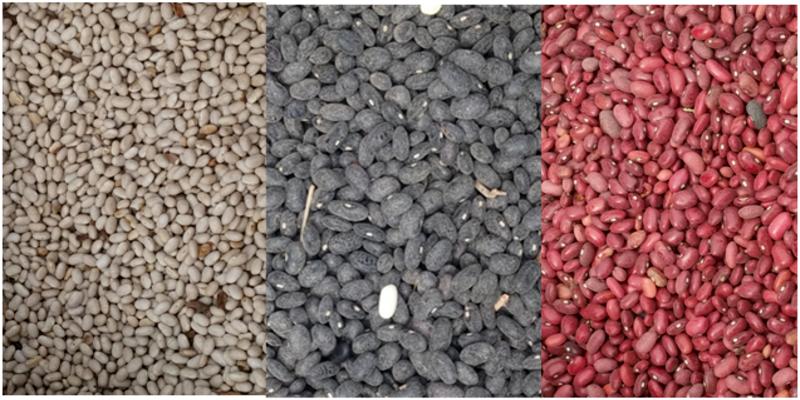  Haricots Du Cameroun - céréales située au cameroun. nous disposons du haricot en grande quantité. --blanc,  rouge et noir suivant respectivement ces prix fob (livraison au port de douala-cameroun)----* haricot blanc- 1080 fcfa--* haricot rouge- 1000 fcfa--* haricot noir-  800 fcfa