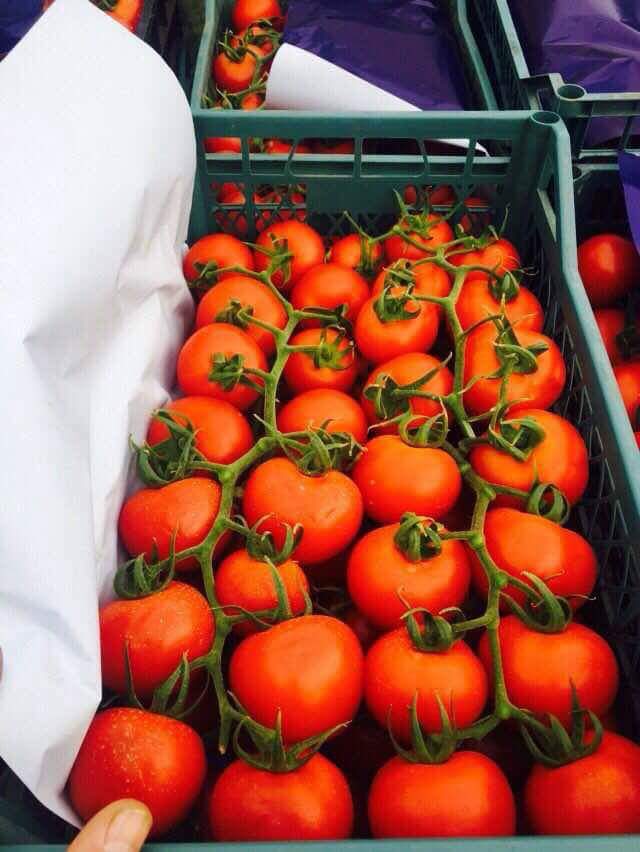  Produits 100% Algerien - fruits et légumes nous avons tous les fruits et legumes qualit&egrave; superieure pour l'export a tous les pays ( qualit&egrave; , quantit&egrave;, prix , rapidit&egrave; de service.) ( courgette, pomme de terre, tomate, poivron, haricot vert , comcombre, oignon, abricot, peche, nectarine, raisin, pasteque, melon, cantaloup, figue)--