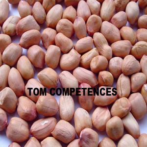  Arachide Séché Et Décortiqué Non Décortiqué - fruits secs et graines grillées nous sommes producteur et exportateur de graine d'arachide.nous avons en stock pour la récolte de cette année.--- graine d'arachide séché et décortiqué--- graine d'arachide non décortiqué.--nos produits sont stockés dans les conditions r