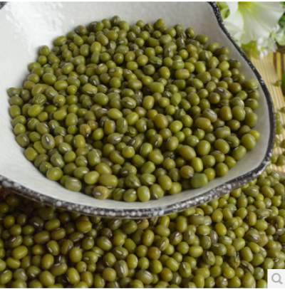  Green Mung Beans - seed plant seed we deal in high quality of nutritional mung beans which offers a great taste and immunity. this is one of the most used and eaten cereals. the mung beans that we offer are free from impurities.----we always make sure to provide clients with organically cultivated products. high on nutritional conten