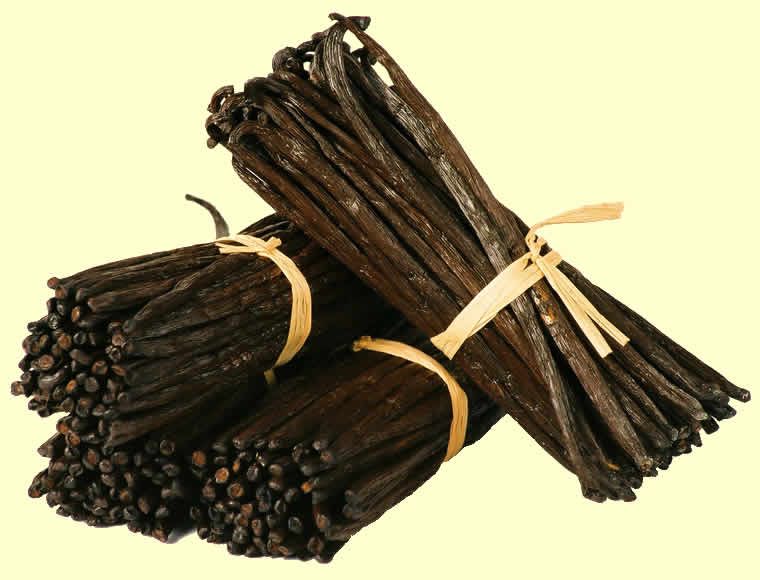  Vanilla Beans -  advertising new products --we are in vanilla grower,  processor and exporter since last 9 years,  based in tanzania. we get vanilla beans from our cultivated farms in uganda and tanzania and also from local farmers,  we cultivate vanilla beans in large quantity in mukono,  uganda. we buy vanilla beans from kasese,  bundibugyo an