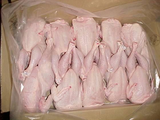  Poule Surgele - viandes et oeufs je cherche un fornisseur de poule entier surgele halal pour emirates arabe unis min 100 tonne par mois et poulet halal 900 g et 1100g et 1200
