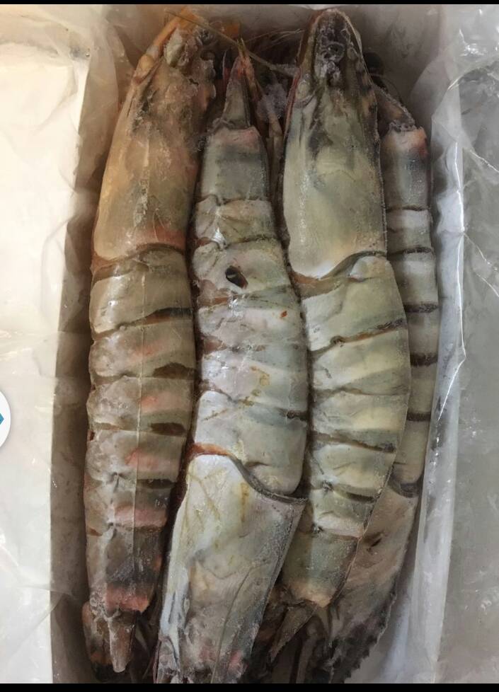  Crevettes Et Gambas - coquillage crustacé nous sommes une société de poisson et fruits de mer , nous vendons les fruits de mer(crevettes et gambas)nous sommes a la recherche de clients a travers le monde toute personnes intéressé peut se joindre a nous .nous avons de très bonne produit de très bonne 