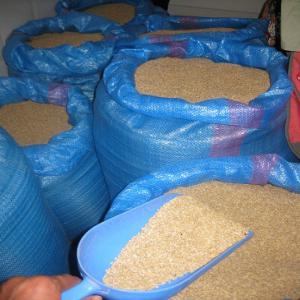 Grain figue de barbarie - fruits secs et graines grilles nous somme une société spécialiste séparation les grain figue de barbarie nous avons actuellement 1 tonne de graines de figue de barbarie récolte cette année,  l'accent étant mis sur l'existence de quantité lorsque la demande