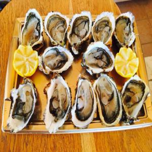  Producteur Huitres Moules Sud France - coquillage crustacé producteur fournisseur d'huitres de la lagune de thau. conditionnement caisses bois 2kg 3kg 5kg 8kg 10kg 15kg (ou a la pi&egrave;ce).--quantit&eacute; &agrave; voir le client.----grossiste en moules de m&eacute;diterran&eacute;e- vrac et pretes &agrave; cuire. moules de haute qualit&eacute;,  fort ta