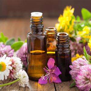  He De Camomille Bleue He De Romarin Cinéole - huiles bonjour , --nous sommes procuteurs d'huile essentielle ,  on vous propose l' he de la camomille bleue ( tanacetum annuum ) en conventionnel , et he de romarin (concentration - +50% de cinéole) en bio et conventionnel . on cherche des distributeurs sérieux en europe et amérique du n