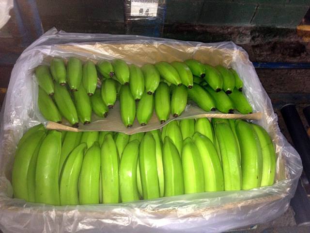  Bananes Et Ananas - fruits et légumes       nous souhaitons  vous ravis en vous offrant  sur vos commandes , des bananes et des ananas a des prix tr&egrave;s comp&eacute;titives .--il s'agit bien d'une offre de qualit&eacute;/ prix,  exceptionnelle , a ne pas rater,  et c'est a vous les experts de  juger -----une boite  banane de 19 kg    , 