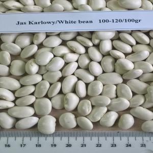  Haricots Blanc Et Rouge Origine Polonaise, Eng - fruits et légumes kidney beans white and red,  apples-polish product--dear sirs i would like to just shortly present our company,  we are a supplier of polish kidney beans (haricots),  and other products like apples,  pears,  walnuts we are based in south east part of lublin region the area where our largest exporting com