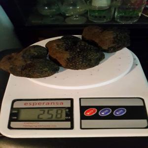  Truffes D'été De Super Qualité De La Bulgarie - champignon levure je cherche des courtiers qui peuvent acheter des truffes de super bonne qualit&eacute; . --je suis sur lyon et je peux livrer dans toute la france. --je poss&egrave;de des champignons (truffes noires d'&eacute;t&eacute;) extra qualit&eacute; de 40-80g sont &agrave; 130 euros pour 1 kg. les truffes d