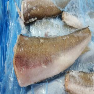  Merlu - poissons bonne journee monsieurs ,  nous avons disponibilite' de -  merlu noire merluccius senegalensis,  entier ou hgt,  et beaucoup d'autres espèces telles que - .le maquereau,  le chinchard,  notothenia. brème,  pandora,  catalufa . tout sont poissons de notre navires .nous sont à votre disp