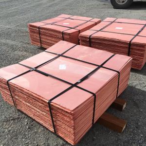  Vente Cuivre Cathode 99.99% - métaux nous vendons du cuivre cathode 99.99% , la quantité est de 5.000mt, avec un prix cif de lme-  20%/mt , l, le paiement est par sblc (mt760) , nous envoyer une icpo pour vous faire une fco.--les plaisantins s'abstenir.  