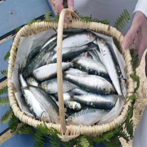  Import Et Export Des Poisson Frais Et Congelé - poissons nous vous proposons des produits de peches du maroc (sardine, maquereaux, chinchard...) de très bonne qualités et avec les meilleurs prix du marché .