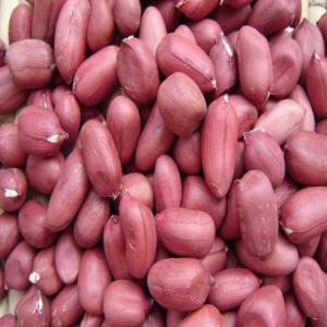  Vente En Gros D'huile D'arachides - huiles vente en gros d'huile d'arachides --bonjour,  nous sommes à la recherche de clients grossistes pour acheter l'huile d'arachides totalement vierge et pressée à ----froid. l'huile d'arachide contient toutes les vertus alimentaires contenues dans la graine. notre huile est exportee 