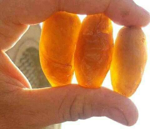  Dates El Majd - fruits et légumes recherchez un fournisseur qui veut acheter des dattes. les dates tunisiennes sont présentes sur toute l'année. pour quelqu'un qui est intéressé par . --contacte moi 