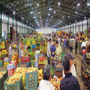  Fruits El Légumes - fruits et légumes je suis grossitde fruits et l&eacute;gumes au maroc et je cherche des clients en mauritanie  et mali ...