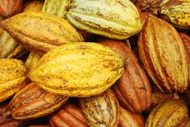  Cacao Café - café cacao thé nous sommes une entreprise d'import export de cacao café basé à yaoundé( cameroun ) nous sommes à la recherche de partenaires financiers pour  des partenariats durables équitables sur tout ce qui est  achat , transformation et exportation de nos produits.