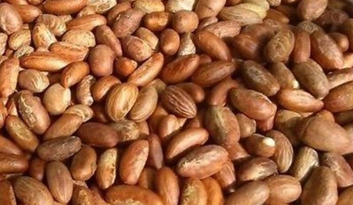  Produits Tropicaux D’afrique De L'ouest - fruits secs et graines grillées nous avons une certaines quantités de petit cola (garcinia cola ) a vendre.--possibilité de vendre a l'internationale par voie aerien surtout car cest pas de grandes quantités  le plus souvent.--prix a discuté.