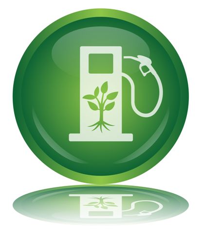  Recherche Fabricant Machine Biocarburant - horticulture plante biocarburant recherche fabricants de machines pour la fabrication de biocarburant pour une grande production merci