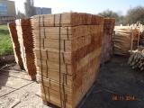  Vente Des Piquets D`acacia - bois charbon fibre marcans scies 0, 60 м 25/25 мм 30 palettes х 1800 рcs. soit 54000 рcs. х 0, 112 еuros/р.----0, 60 30/30 4 palettes х 1225 рcs.soit 4900 рcs. х 0, 162 еuros/р.----0, 70 25/25 6 palettes х 1800 рcs. soit 1