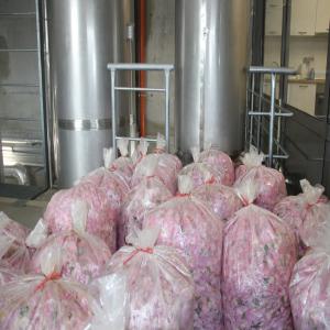  Huile Essentielle De Rose De Damas Et Distillat - huiles nous sommes producteur d'huile essentielle de rose de damas en bulgarie ainsi que de l'eau de rose (distillat). nous proposons des conditionnement de 1g &agrave; 200kg pour l'huile essentielle et pour le distillat. nous proposons &eacute;galement de la production en marque blanche dans nos flacons a