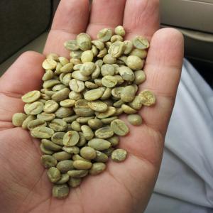  Yemeni Coffee - coffee cocoa tea yemeni green coffee beans -- our stock is from last year and the new season will begin in november 2017----our coffee is dried by sun----yemeni coffee first grad (a) size 14-16 mm----yemeni coffee second grad (b)  size 12-14 mm----yemeni coffee third grad (c)  size 10-12 mm and contains a quantity o