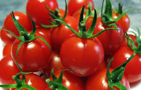  Tous Fruits Et Légumes Frais - fruits et légumes entreprise de production agricole cherche des acheteurs pour ses différentes spéculations- tomate cabra,  haricot vert type burkina,  choux,  poivron,  courgette... nos produits sont uniquement bio.--tonnage illimité - production disponible toute période de l'année - p