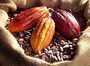 Vente De Feves De Cacao D'origine Cote D'ivoire - fruits secs et graines grillées nous sommes une entreprise agricole basee a abidjan en cote d'ivoire, avec une dizaine de cooperatives agricoles affiliees a nous, qui sont capables de fournir plus de 15000 tonnes par campagne.--nous recherchons un contrat de livraison de feves de cacao d'origine cote d'ivoire aupres des chocolatiers